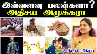 அமுக்கரா சூரணம் பயன்கள் | அஸ்வகந்தா பயன்கள் | Amukkara powder benefits in tamil | Ashwagandha tamil