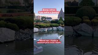 Днепр сейчас 🔴куда пойти в Днепре⁉️Где павлины и гуси⁉️ #music #remix #electronicmusic #днепр