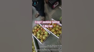 Export packing fresh Tamato #export #import #logistics #agriculture #container #ship #ship