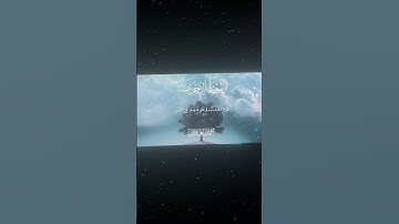 سورة الأحزاب|64-66|القارئ:#محمد_اللحيدان #قران #quran #راحة_نفسية #قران_كريم#تلاوة_هادئة#تلاوة_خاشعة