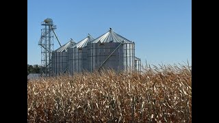 4 Big Mistakes When Buying Grain Elevators & Conveyors #farming #bucketelevator #grainleg