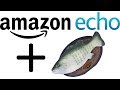 Amazon's Alexa voice assistant will be built into the Big Mouth Billy Bass (AMZN)