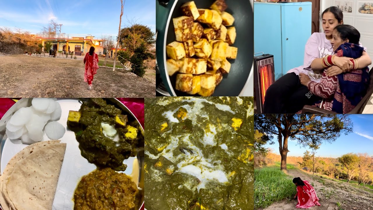 From Farm to Kitchen || Palak Paneer Recipe || Straight from Himachal Fields 