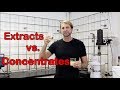 Difference between a flavor concentrate  a flavor extract  the flavor guy