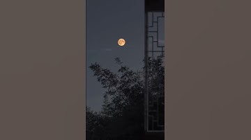 Thumbnail of Moon night 🌙 || fisla song status || Instagram trending reel | #viral #moon #feelings