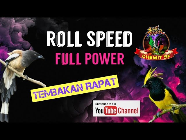 Roll Speed, Full Power ❗️MASTERAN Burung Tembakan Rapat class=