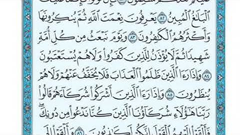 تلاوة سورة النحل من الآية 84 إلى الآية 89