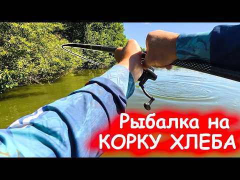 Рыбалка на КОРКУ ХЛЕБА! Я ЕГО ТАКИ ДОСТАЛ!  Амур и карп РАЗГИБАЕТ КРЮЧКИ, ловля в 2026