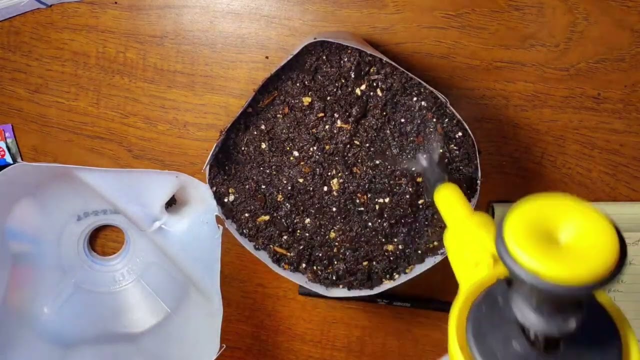 Let Winter Decide / 10 Weeks Before Frost-Free