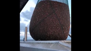 Wireless Shellfish Detection System: Notus Echo Onboard the Pacific Dove 2019