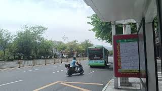 Golden Dragon  XML6655JEVY0C