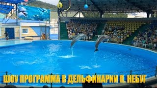 Выступление дельфинов и не только, дельфинарий п. Небуг в 2016 году