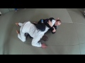 Reverse Armbar from Butterfly Guard