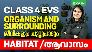 Class 4 EVS | Organisms and Surroundings | Habitat (ആവാസം) | Xylem Class 4
