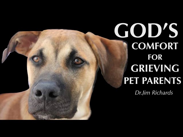 God's Comfort for Grieving Pet Parents - Dr. Jim Richards class=