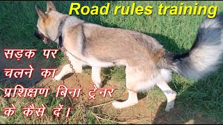 Dog road rules training || सड़क पर चलने का प्रशिक्षण कुत्ते को बिना ट्रेनर कैसे दें