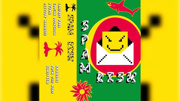 Spam Risk - S/T (2020)