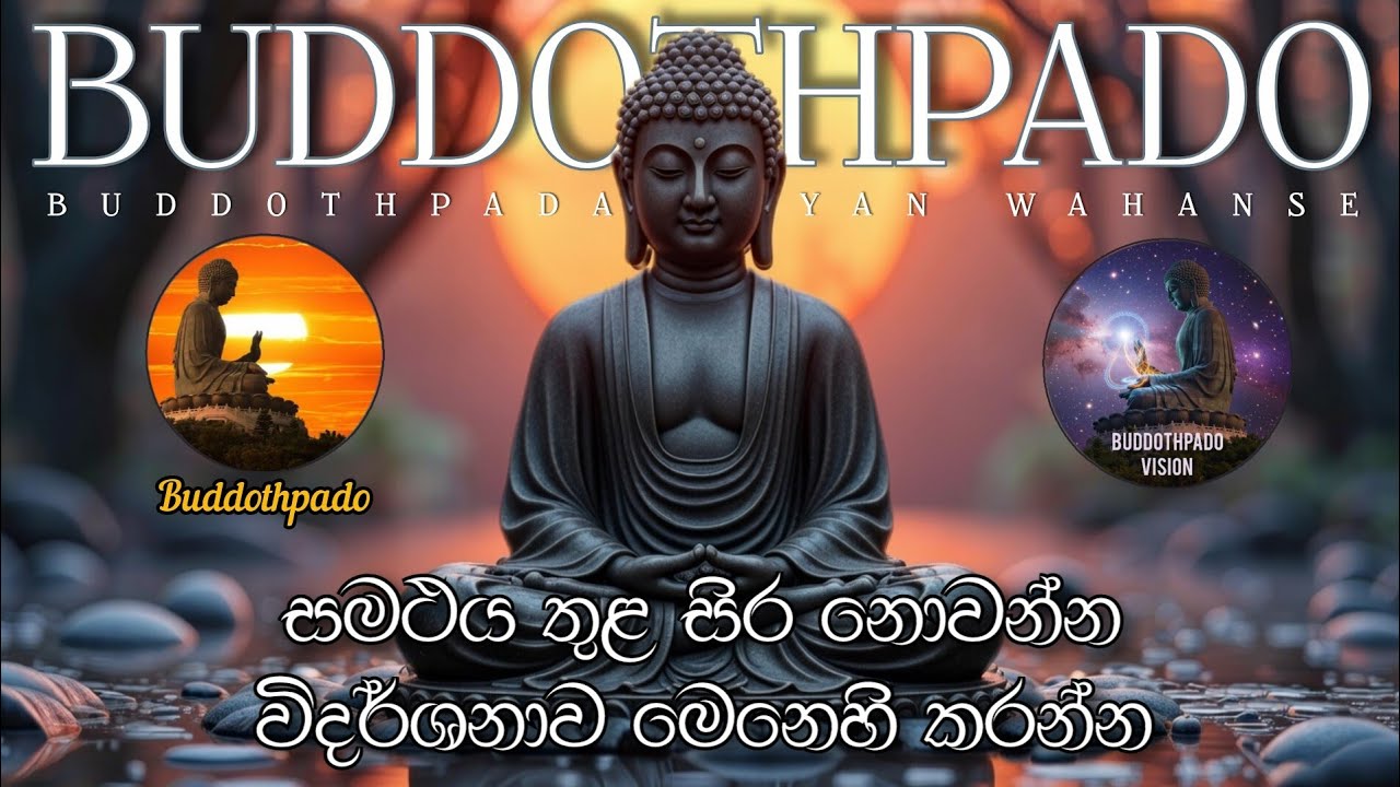 සමථය තුළ සිර නොවන්න විදර්ශනාව මෙනෙහි කරන්න 🪷