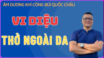 VI DIỆU THỞ NGOÀI DA | ÂM DƯƠNG KHÍ CÔNG BÙI QUỐC CHÂU