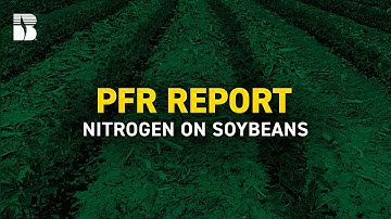Nitrogen on Soybeans | Beck