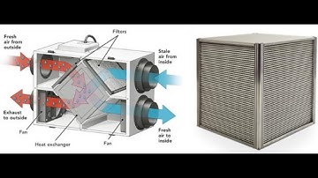 Coupled Continuum Advection-Diffusion Model for Simulating Parallel Flow Induced Mass Transport