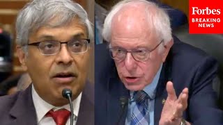 'Sounds Like A Good Politician Here': Bernie Sanders Has Tense Exchange With Dr. Jay Bhattacharya