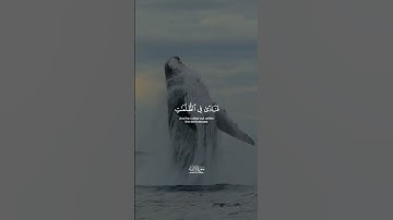 #قرآن #تلاوة_هادئة #سورة_الانبياء