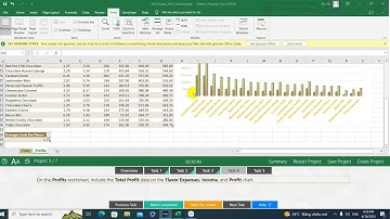 MOS EXCEL 2019 EXAM 2