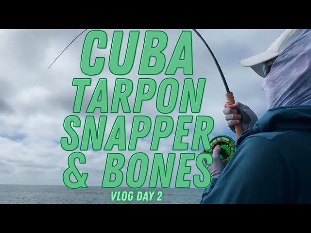 Fly Fishing Cuba: Day 2 Vlog - Cuban Cigars, Mutton Snappers