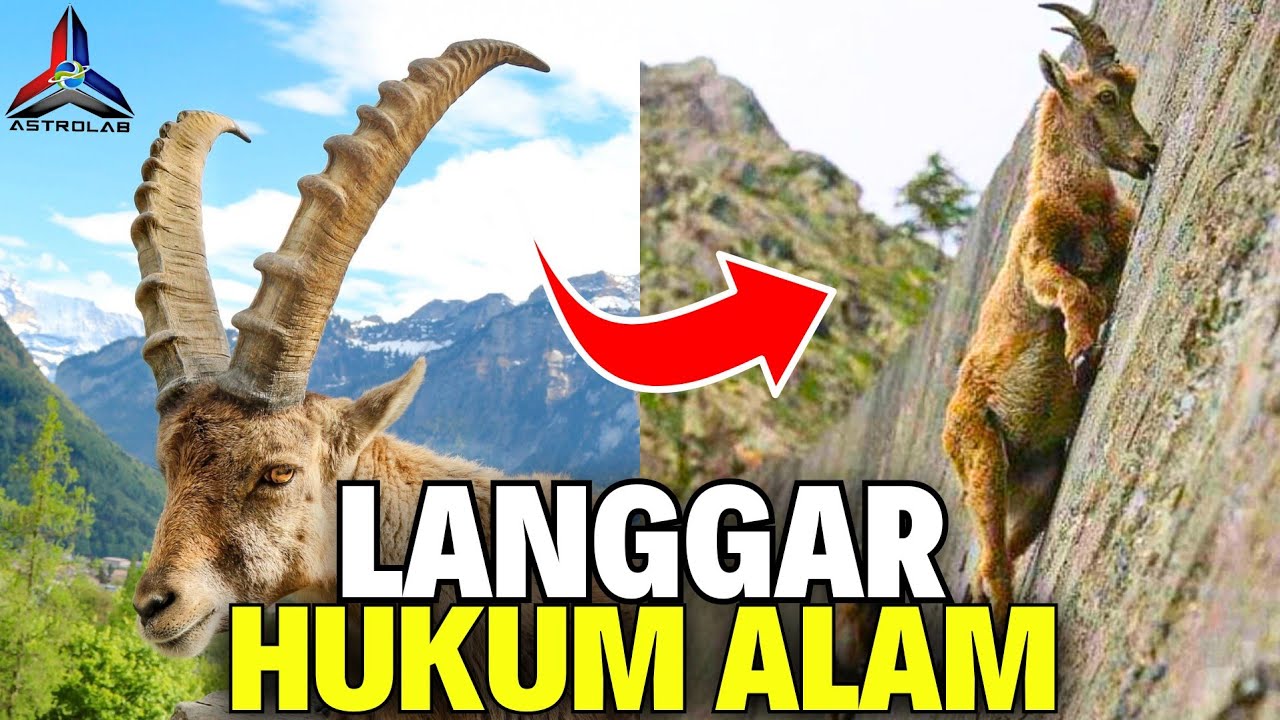 10 Perkara Yang Melanggar Hukum Alam