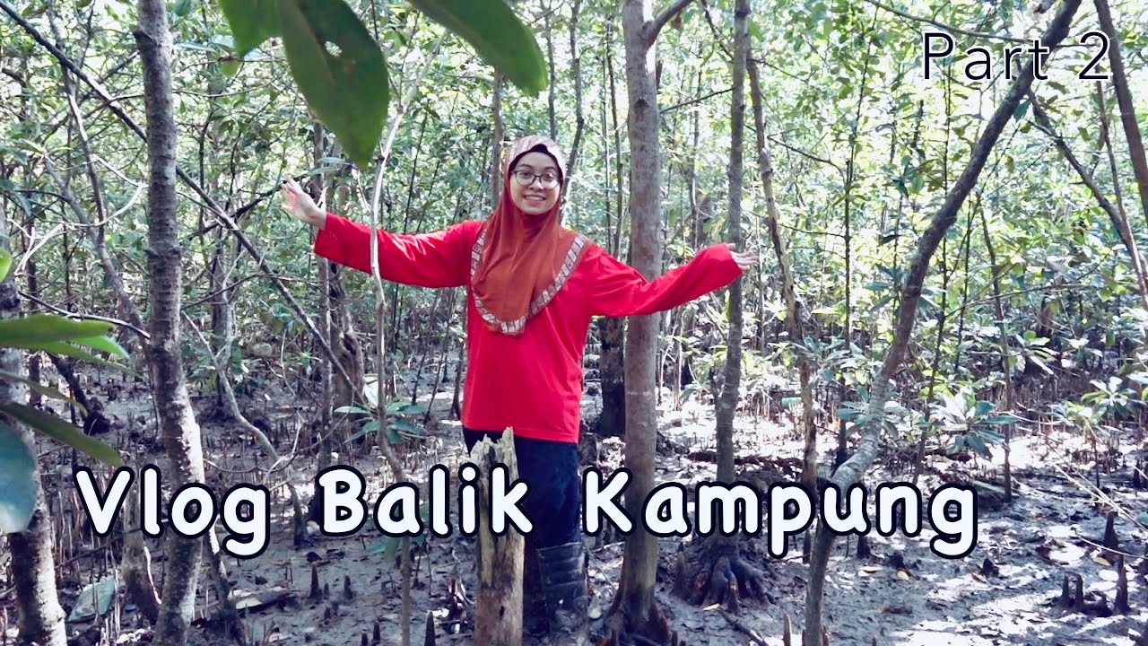 Misi Mencari Siput Sedut. TAK NAK DAH !! 😭