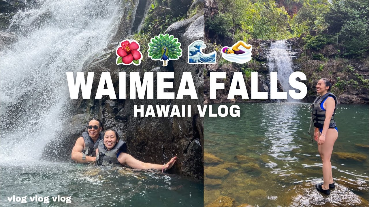 HAWAII VLOG | 🦺🌊🦚 "Swimming" to a waterfall, WAIMEA FALLS - YouTube