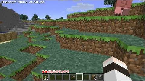 Minecraft portal bug