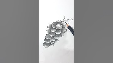 Vẽ Chùm Nho BẰNG BÚT CHÌ #shorts