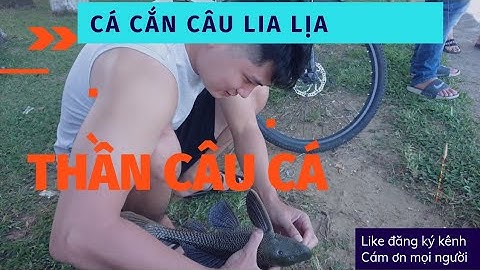 DU LỊCH ĐÀ NẴNG. DẠO CÔNG VIÊN 29/3 CÂU CÁ RẤT THÚ VỊ.DA NANG TOURISM. PARK 3/29 FISHING IS VERY INT