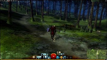 Guild Wars 2 Xpadder Setup - Norn Guardian Demonstration