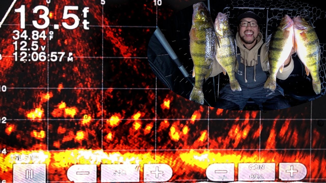 Ice Fishing MEGA SCHOOLS of JUMBO PERCH! (Underwater Livescope Footage) YouTube