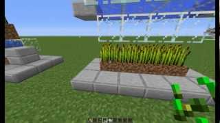 Minecraft tutoriel agriculture automatisé: le blé