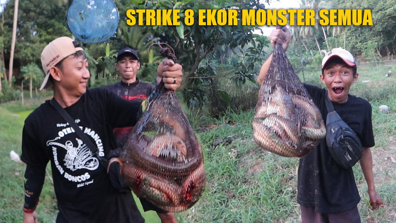 HARINYA BELUT MONSTER KELUAR !! SEMUA STRIKE BELUT MONSTER