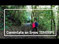 Caminata Erjos - Las Portelas - Bolico - Charcas de Erjos ( Tenerife )