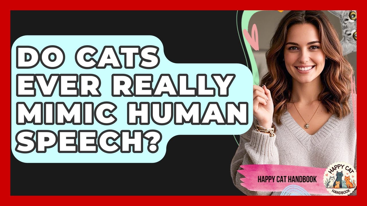Do Cats Ever Really Mimic Human Speech? - Happy Cat Handbook