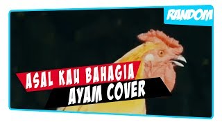 Download lagu Armada - Asal Kau Bahagia (Ayam Cover)
