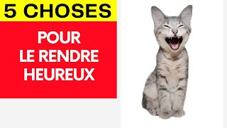 Voici 5 Manières De Rendre Votre Chat Heureux by HistoireDesAnimaux 294 views 9 days ago 4 minutes, 54 seconds