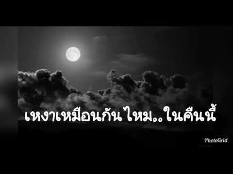 เหงาเหมือนกันไหมในคืนนี้ - กบ Taxi