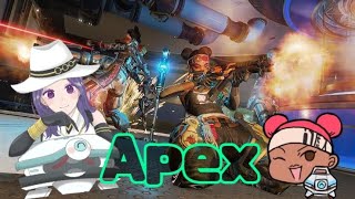 apex /もた