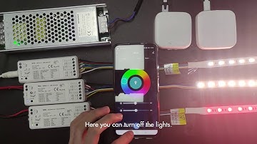 How to use the Tuya app to match the wifi controller WT5 and control the light
