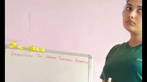 Class 7 Science Chapter 2 : Nutrition in Animals (Part 6)