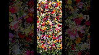 Silletas: Feria de Flores, Medellin, Colombia Parte 2