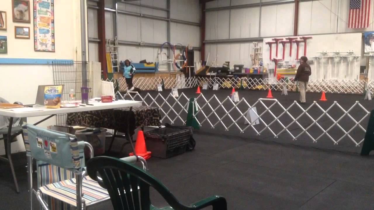 Raitt ASCA Rally Novice ASCNE Canine Mastery Seekonk, MA PM Trial - YouTube