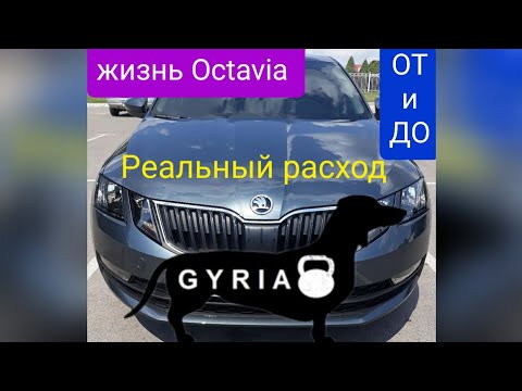 Skoda Octavia A7 1.6МТ!!! Реальный расход топлива